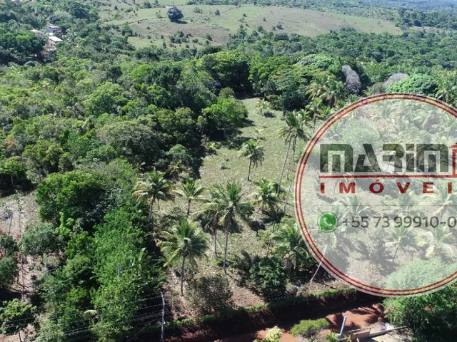 Imagem 8: Área com 60.000 m² no Centro da Vila de Serra Grande/BA