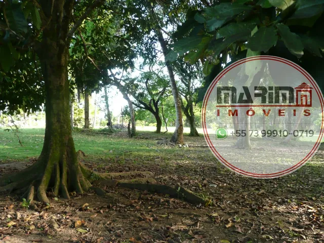 Imagem 7: Área com 60.000 m² no Centro da Vila de Serra Grande/BA