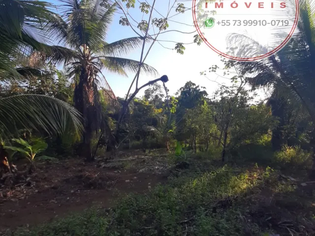 Imagem 14: Terreno com 3.413 m², a apenas 2 km do centro e das praias de Itacaré/BA
