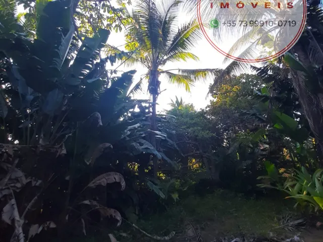 Imagem 13: Terreno com 3.413 m², a apenas 2 km do centro e das praias de Itacaré/BA