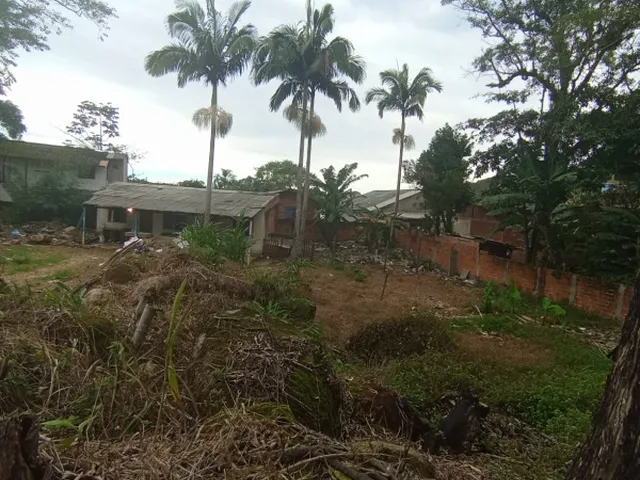 Imagem 12: TERRENO - MATINHOS