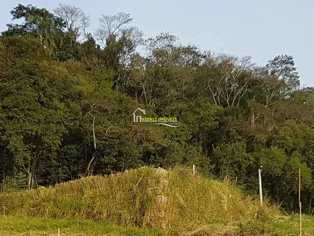 Imagem 4: Terreno com 3 Dormitorio(s) localizado(a) no bairro Floresta em Estância Velha / Rio