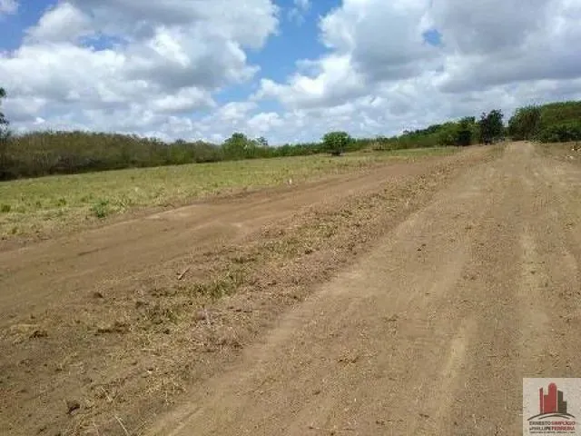 Imagem: Aldeia - Área em Aldeia com 5 Hectares