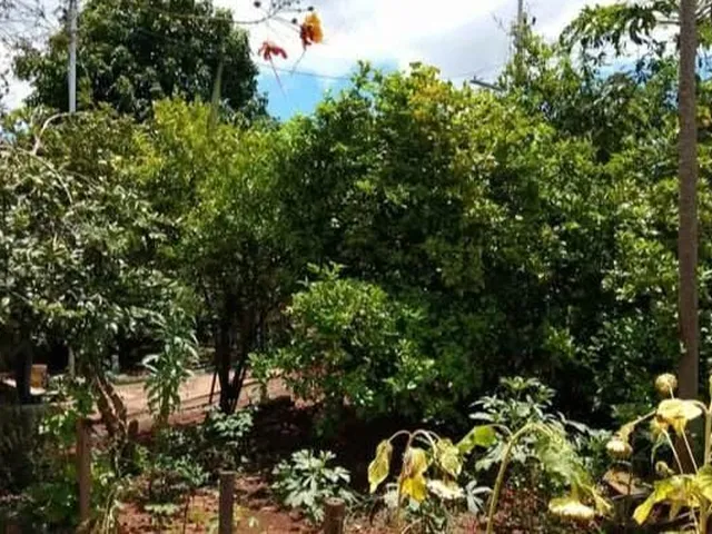 Imagem 6: Chácara em Centro, Bonfim/MG