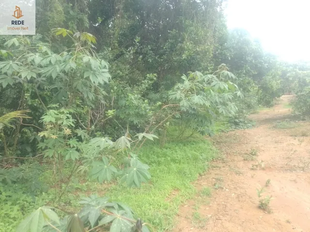 Imagem 8: Chácara em Andiroba (Andiroba), Esmeraldas/MG ( condomínio