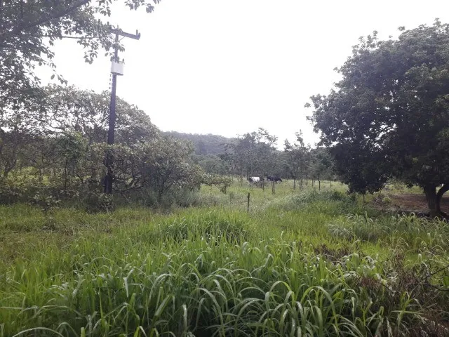 Imagem 10: Vendo Excelente Chácara em Ótima Localização em Planaltina, Df