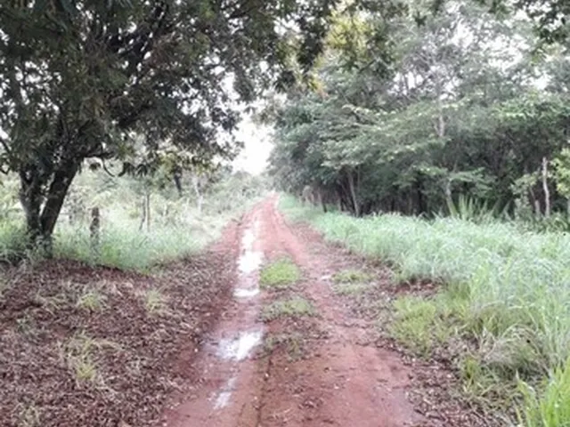 Imagem 14: Vendo Excelente Chácara em Ótima Localização em Planaltina, Df