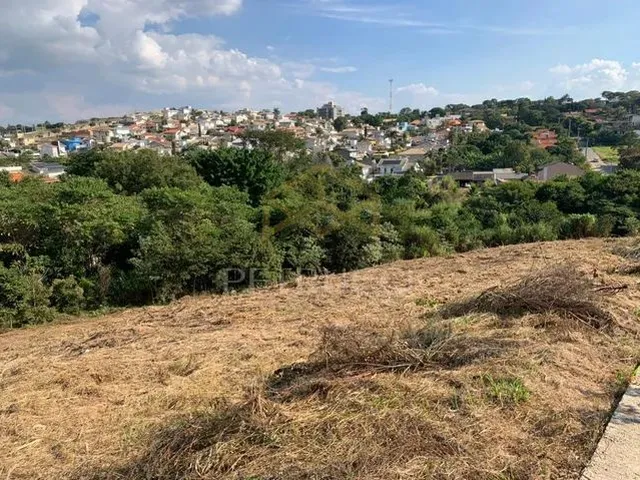 Imagem: Terreno - Bosque - Vinhedo