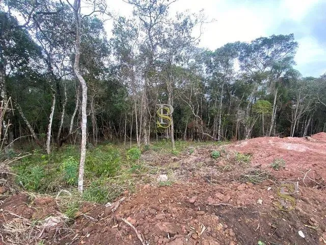 Imagem 6: Terreno À Venda - 1.000M² - Contrato de Compra e Venda - Francisco Morato/Sp