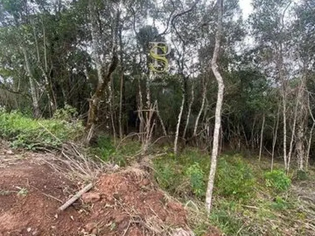 Imagem 4: Terreno À Venda - 1.000M² - Contrato de Compra e Venda - Francisco Morato/Sp