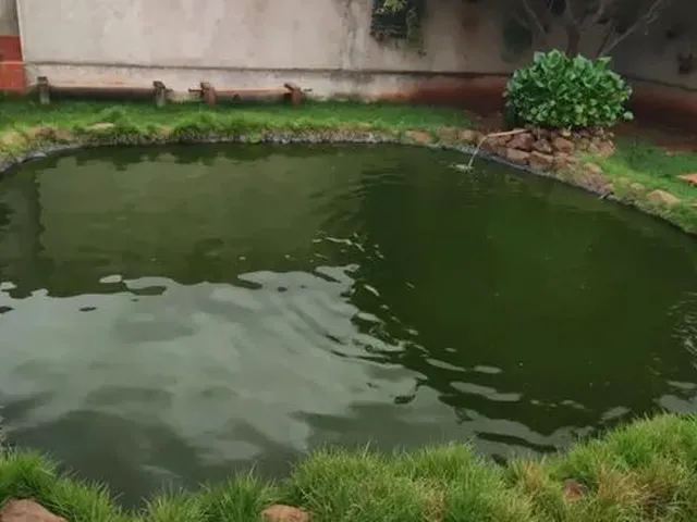 Imagem 4: Chácara no Jardim São Domingos