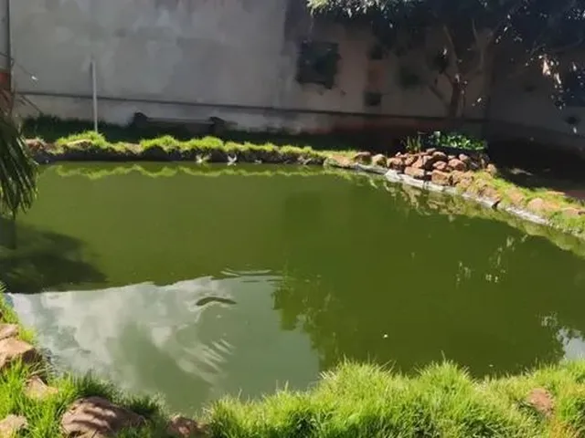 Imagem 11: Chácara no Jardim São Domingos
