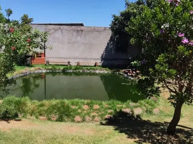 Imagem 6: Chácara no Jardim São Domingos