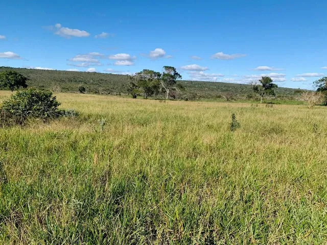 Imagem: FAZENDA RURAL em MORRO DO CHAPÉU - BA