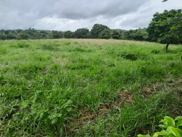 Imagem 14: FAZENDA RURAL em TERRA NOVA - BA, ZONA RURAL