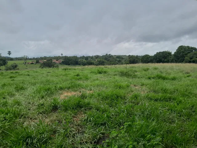 Imagem 9: FAZENDA RURAL em TERRA NOVA - BA, ZONA RURAL