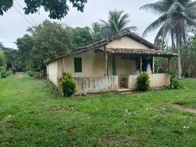 Imagem 2: FAZENDA RURAL em TERRA NOVA - BA, ZONA RURAL