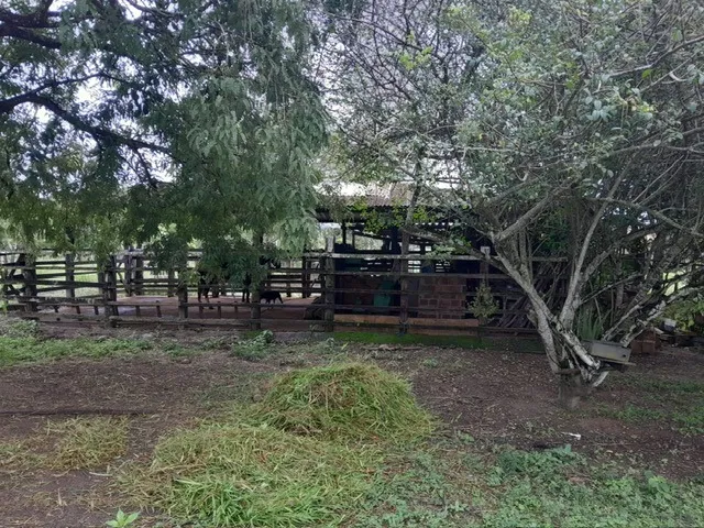 Imagem 16: FAZENDA RURAL em TERRA NOVA - BA, ZONA RURAL
