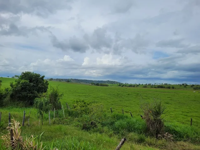 Imagem 6: FAZENDA RURAL em TERRA NOVA - BA, ZONA RURAL