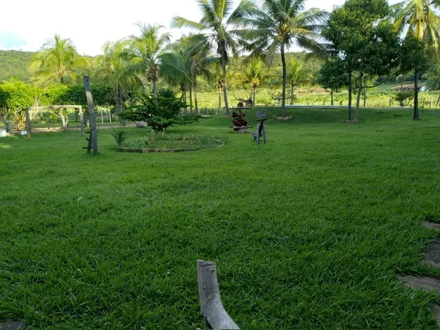Imagem 7: FAZENDA RURAL em ANDARAÍ - BA, ZONA RURAL