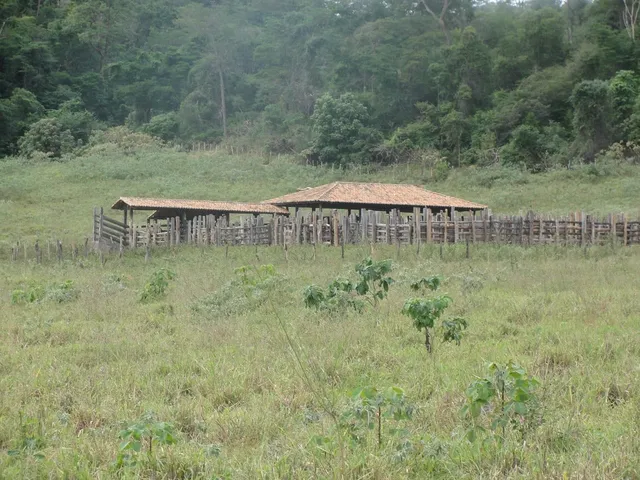 Imagem 2: FAZENDA RURAL em ANDARAÍ - BA, ZONA RURAL