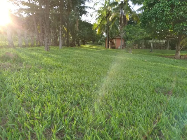 Imagem 4: FAZENDA RURAL em ANDARAÍ - BA, ZONA RURAL