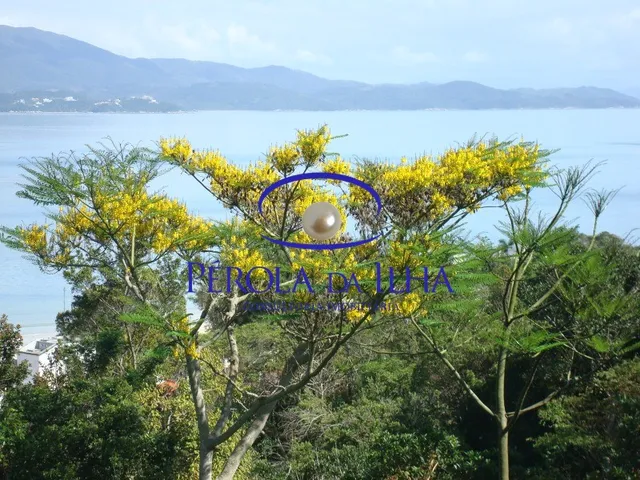 Imagem 4: Terreno à venda em Florianópolis-SC, Jurerê: 23.725,00 m² de oportunidade única!