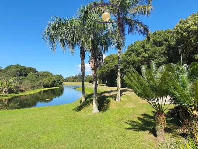 Imagem 6: TERRENO - FLORIANÓPOLIS