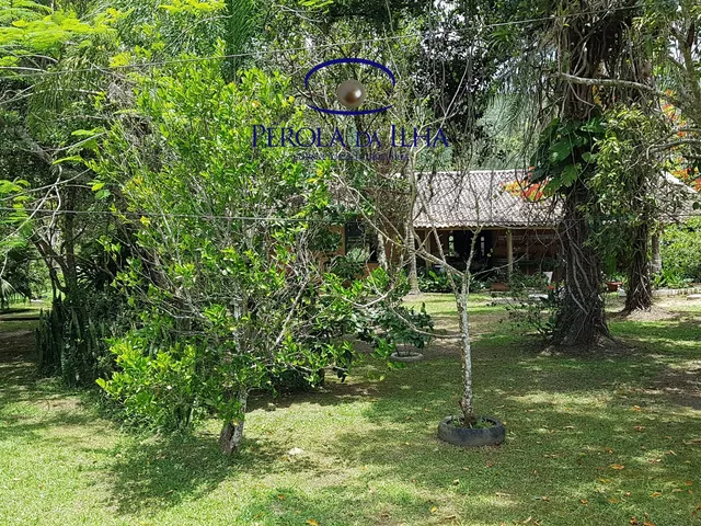 Imagem 6: Sitio à venda em Florianópolis-SC, bairro Ratones: 3 quartos, 2 salas, 2 banheiros
