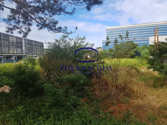 Imagem 7: Terreno Comercial de 1.267m² à venda em Capoeiras, Florianópolis-SC - Oportunidade