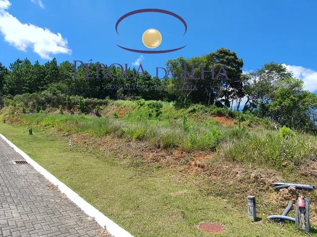 Imagem 15: Oportunidade Única: Terreno à venda em Florianópolis-SC, bairro Itacorubi, com