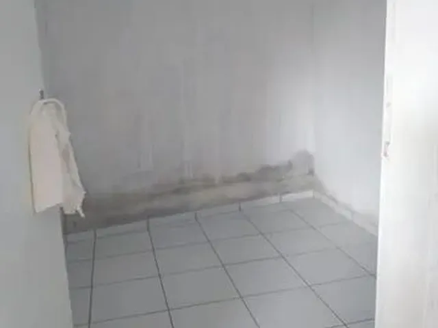 Imagem: Casas para Alugar em Dois Irmãos