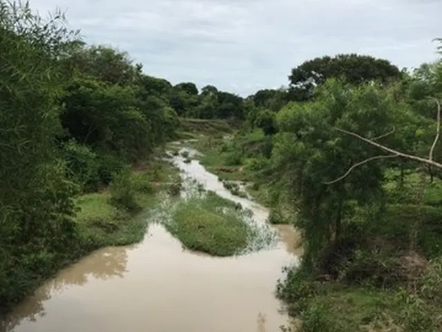 Imagem 1: Edeia Chacara de 2 Alqueires, Dentro da Cidade, Córrego e Nascente ( Muito Boa de Água