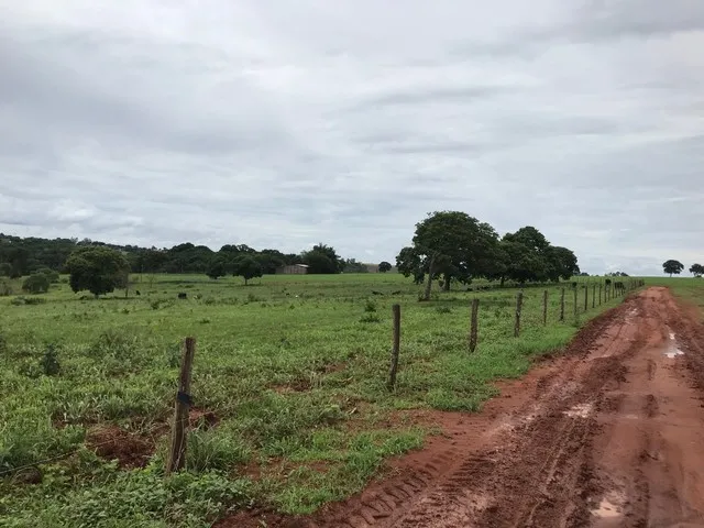 Imagem 3: Edeia Chacara de 2 Alqueires, Dentro da Cidade, Córrego e Nascente ( Muito Boa de Água