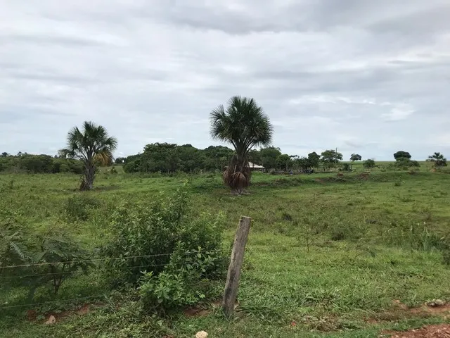 Imagem 8: Edeia Chacara de 2 Alqueires, Dentro da Cidade, Córrego e Nascente ( Muito Boa de Água