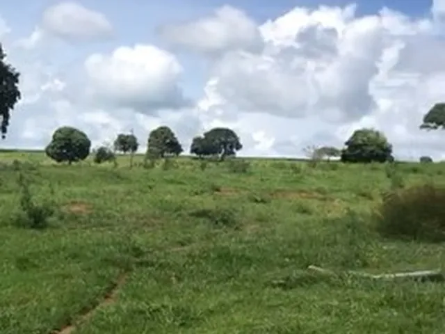 Imagem 6: Edeia Chacara de 2 Alqueires, Dentro da Cidade, Córrego e Nascente ( Muito Boa de Água