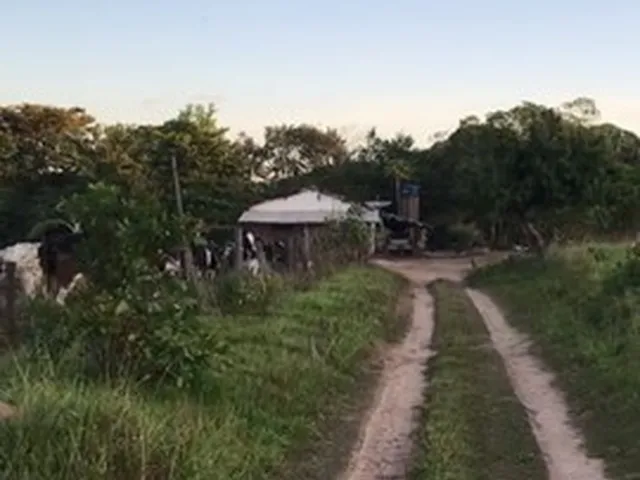 Imagem 2: Edeia Chacara de 2 Alqueires, Dentro da Cidade, Córrego e Nascente ( Muito Boa de Água