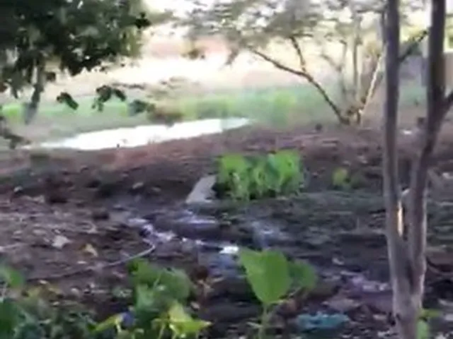 Imagem 4: Edeia Chacara de 2 Alqueires, Dentro da Cidade, Córrego e Nascente ( Muito Boa de Água