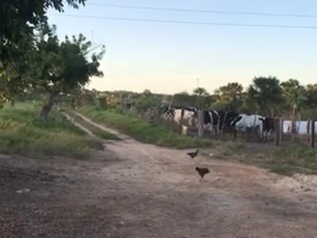 Imagem 5: Edeia Chacara de 2 Alqueires, Dentro da Cidade, Córrego e Nascente ( Muito Boa de Água