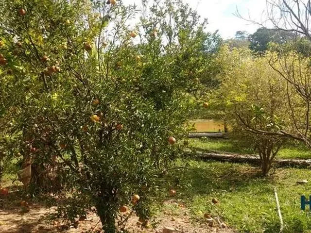 Imagem 6: Chácara À Venda, 3 Quartos, 1 Suíte, 10 Vagas, Andiroba (Andiroba) - Esmeraldas/Mg