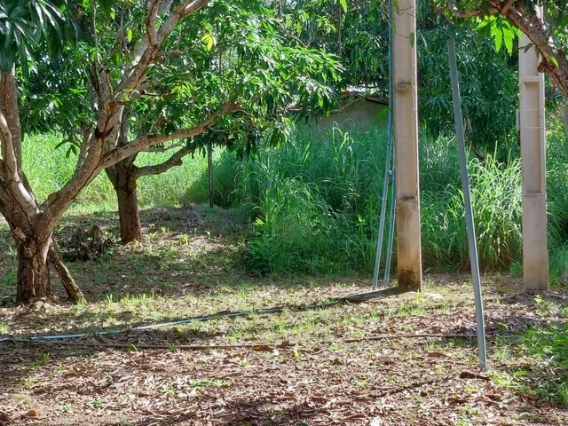 Imagem 15: Vendo Sitio na Localidade Junco