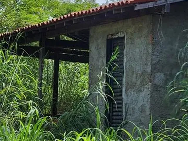 Imagem 2: Vendo Sitio na Localidade Junco