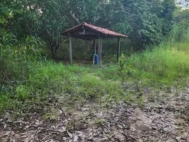 Imagem 13: Vendo Sitio na Localidade Junco