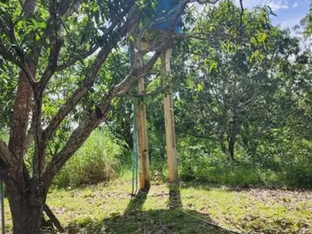 Imagem 9: Vendo Sitio na Localidade Junco