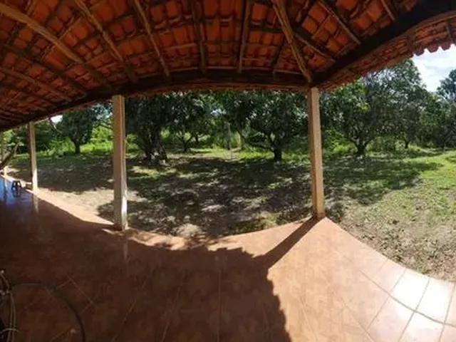 Imagem 8: Vendo Sitio na Localidade Junco