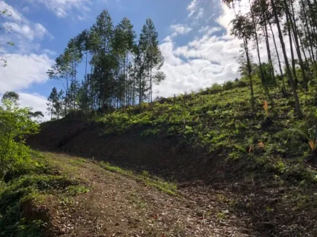 Imagem 6: Sítio/Chácara 20.000M²