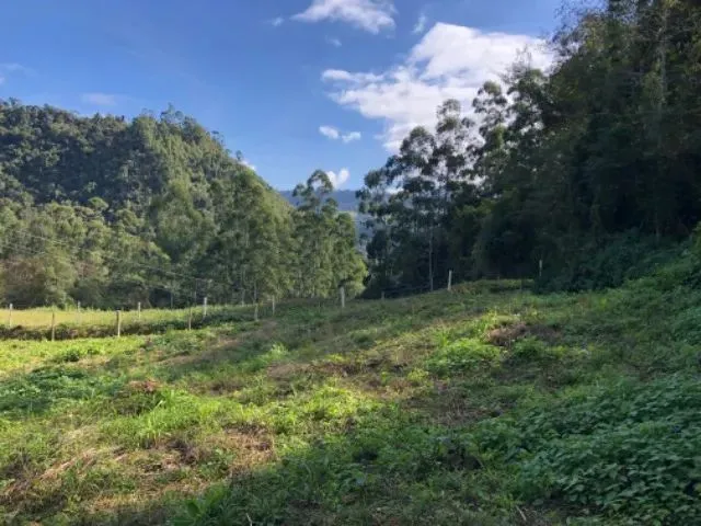 Imagem 4: Sítio/Chácara 20.000M²