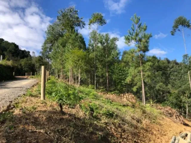 Imagem 2: Sítio/Chácara 20.000M²