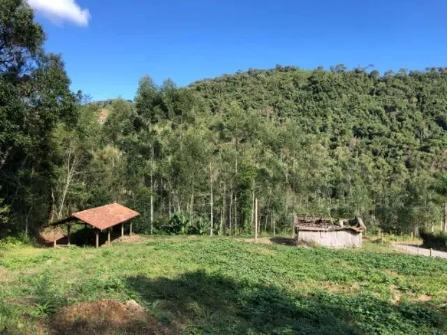 Imagem 7: Sítio/Chácara 20.000M²