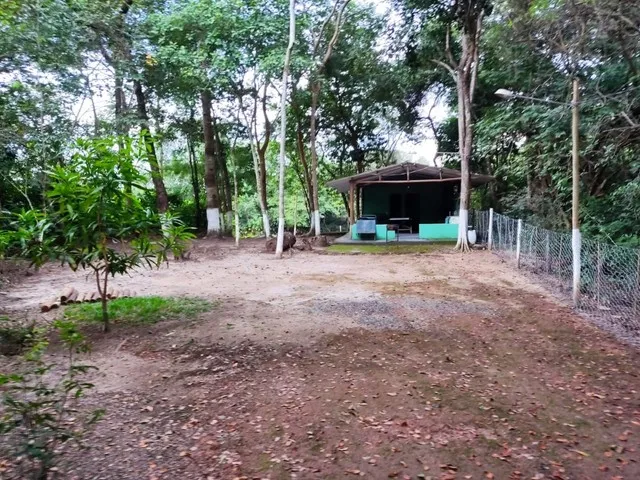 Imagem 12: Sítio Cezarina - Beira Rio dos Bois